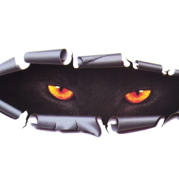 3D Autoaufkleber Augen Katzenaugen PKW Styling